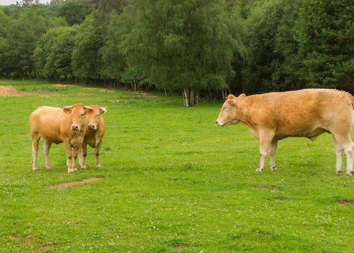 Casa Da Ponte De Penas リゾート